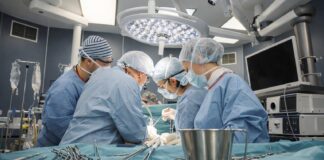 трансплантация