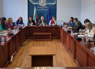 образование