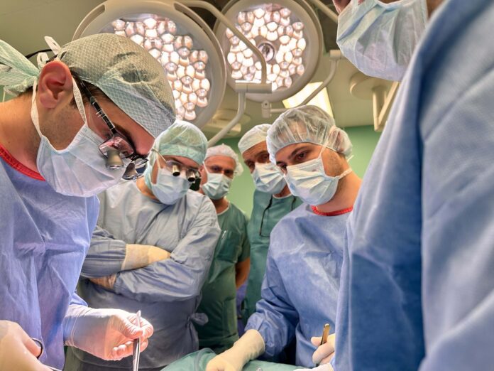 трансплантация