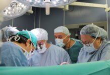 трансплантации