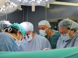 трансплантации