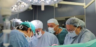 трансплантации