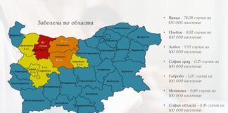 морбили