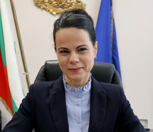 Бивш шеф на НЗОК и чиновник от МЗ заместници на Катя Ивкова Ивкова
