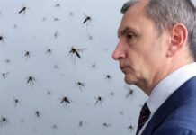 Околийски