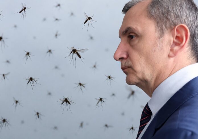 Околийски