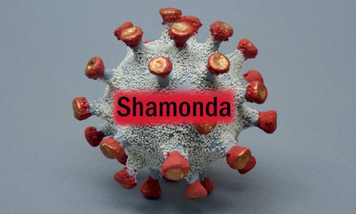 Шамонда Шамонда